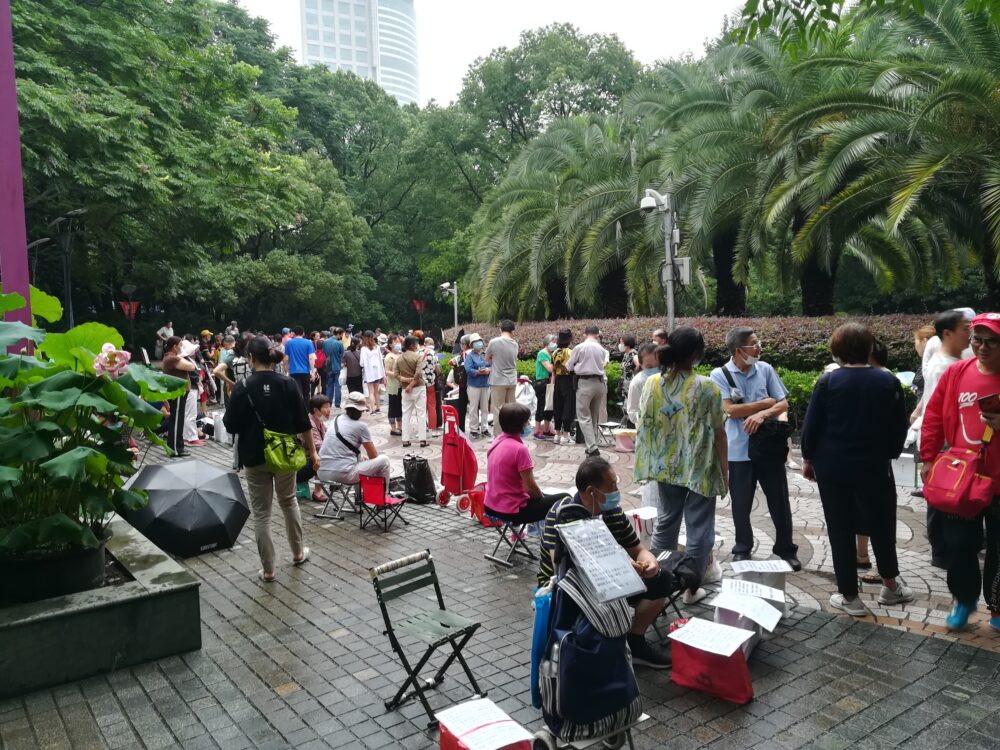 人民公園での求婚活動の様子の写真