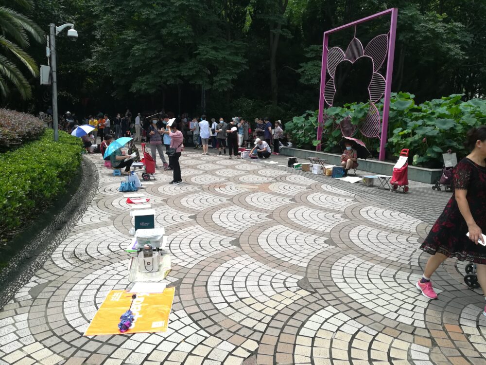 人民公園での求婚活動の様子の写真