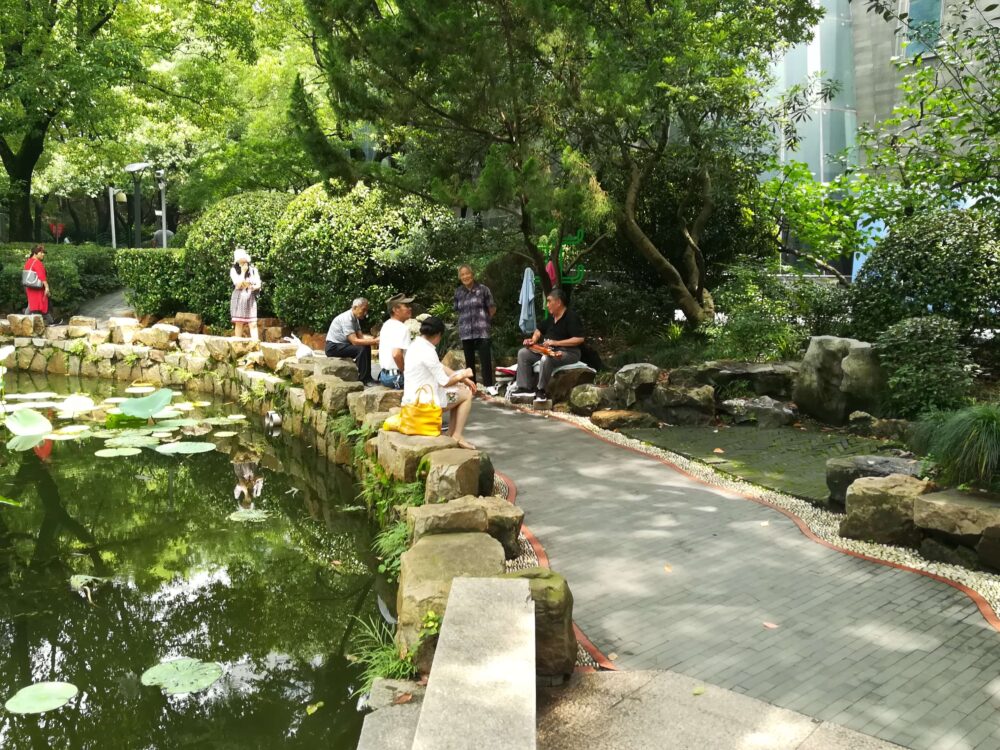 弦楽器を引いている現地市民の様子の写真