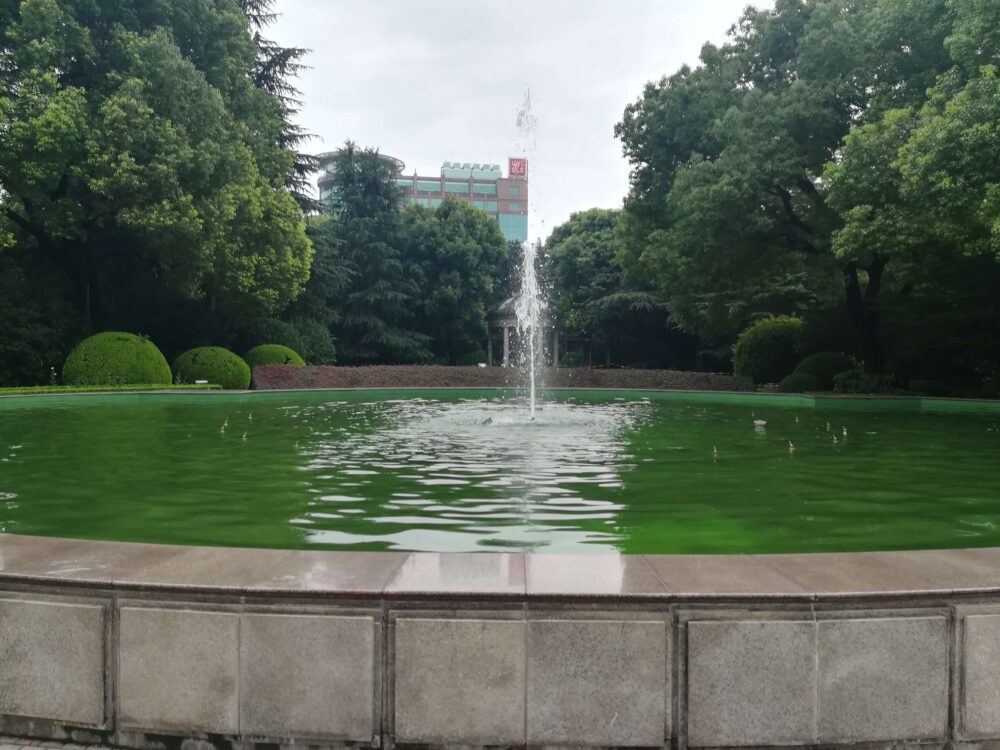 敷地内の花園の写真