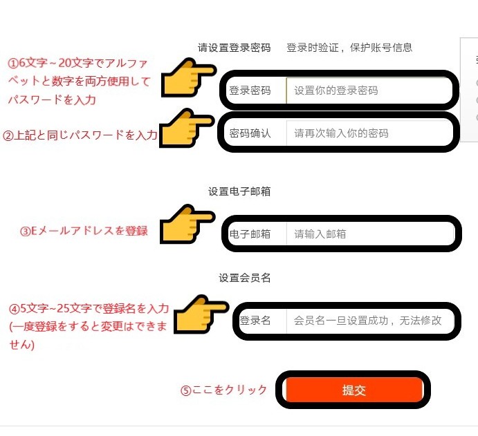 タオバオのサイトよりパスワード、メールアドレス、登録者名を設定している部分を拡大したスクリーンショットの画像