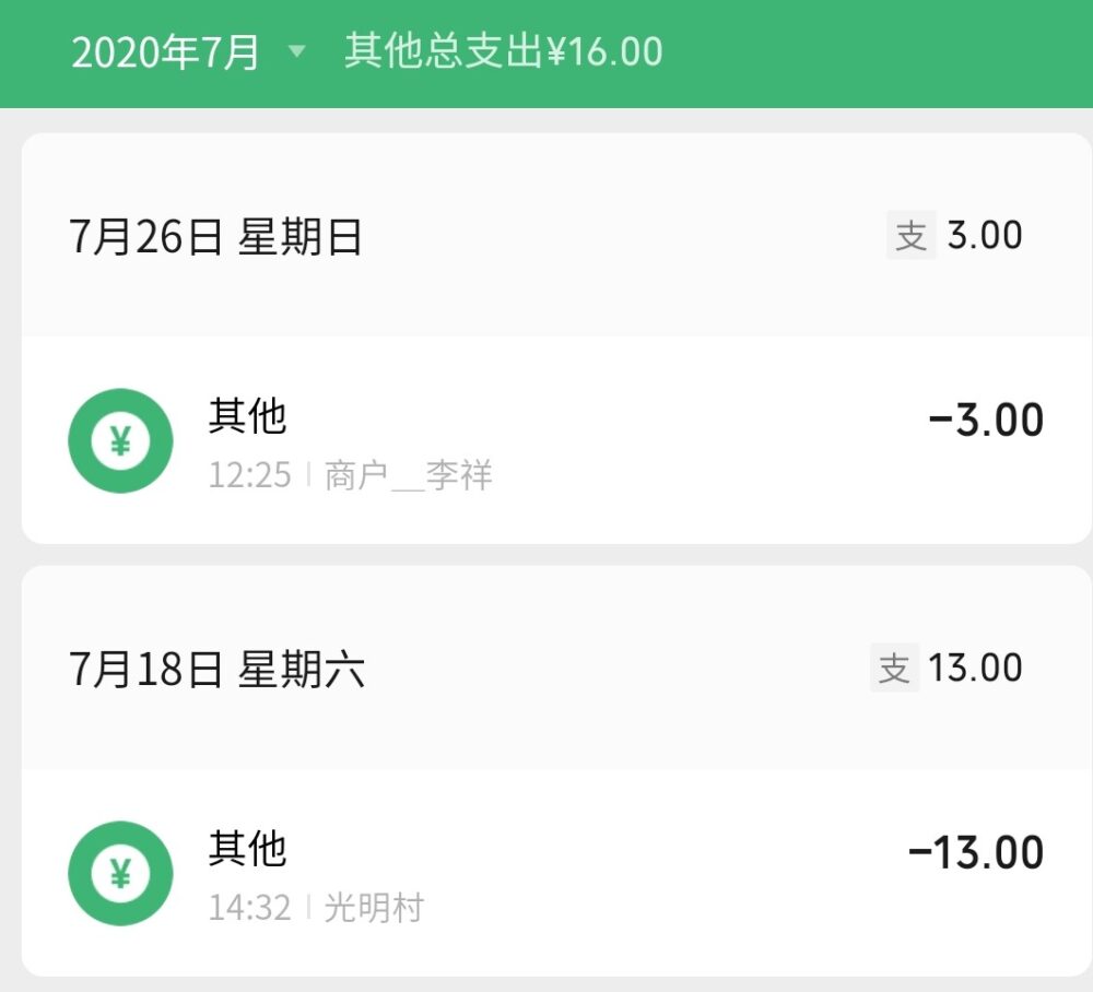微信の電子版支払い記録 2020年7月度その他の写真