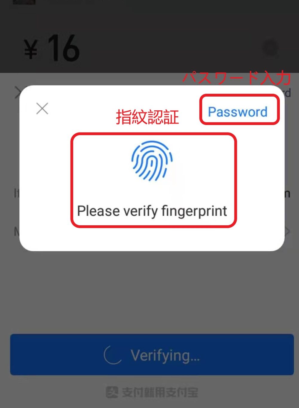 アリペイで指紋認証もしくはパスワードを入力して支払をしている画面の写真